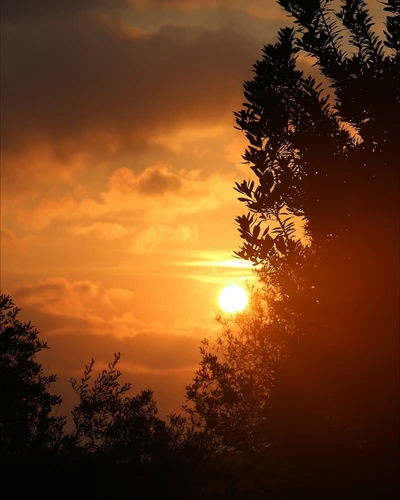 #sunset #sunsetphotography #endofday #summer #summervibes #myphotography #freetoedit